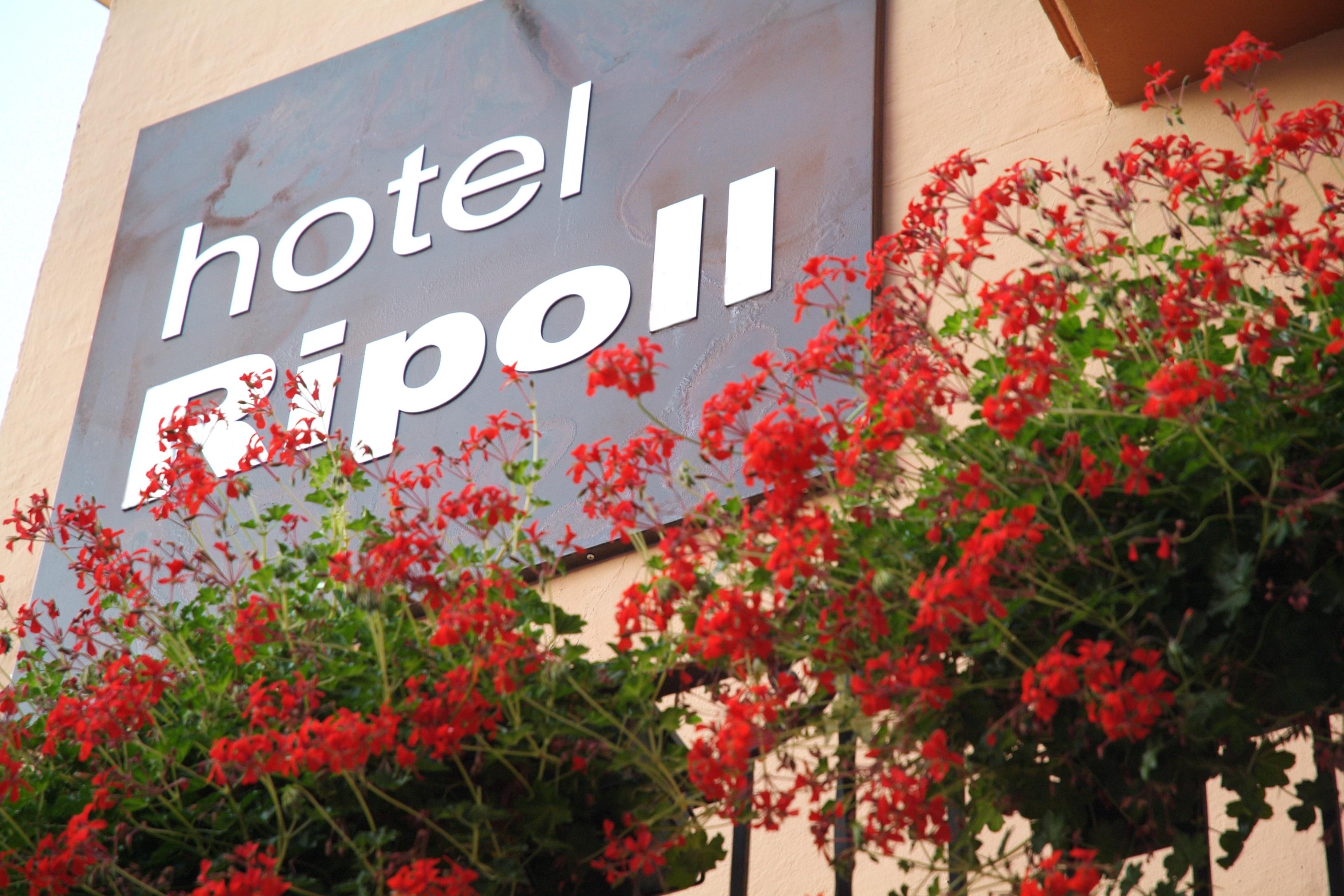 Hotel Ripoll Sant Hilari Sacalm Kültér fotó