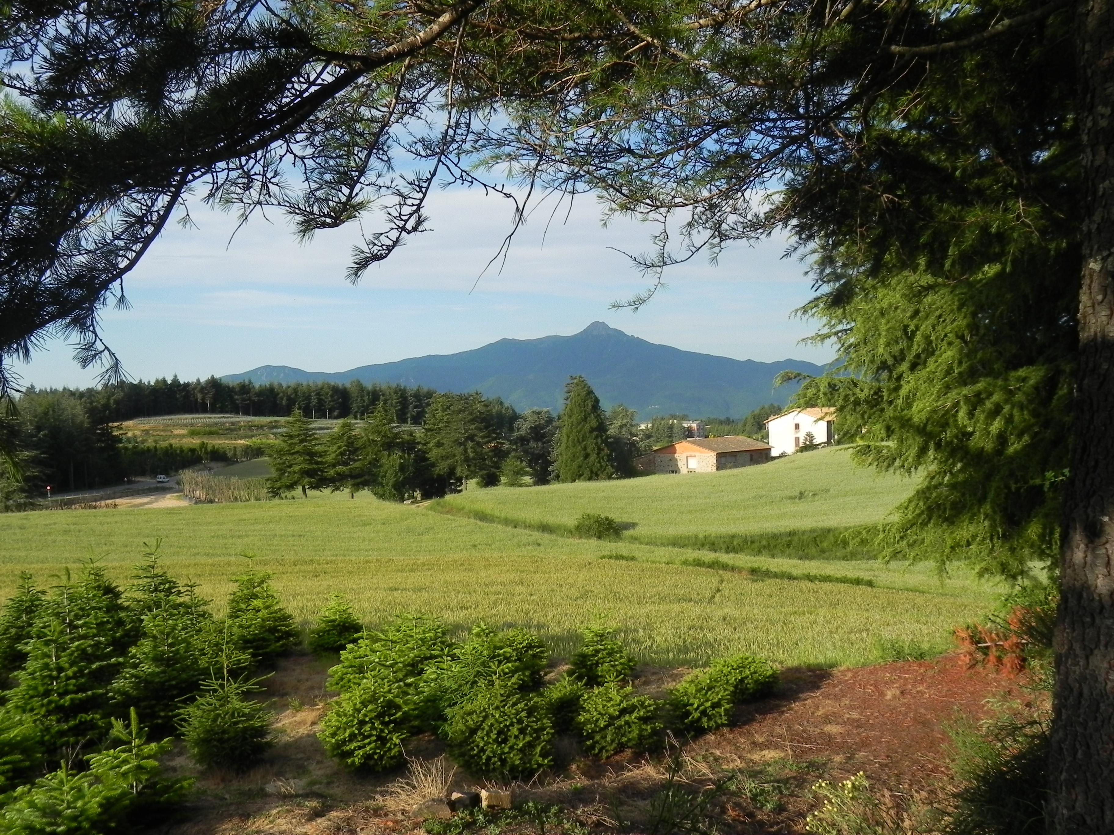 Hotel Ripoll Sant Hilari Sacalm Kültér fotó